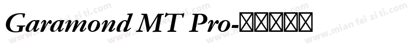 Garamond MT Pro字体转换